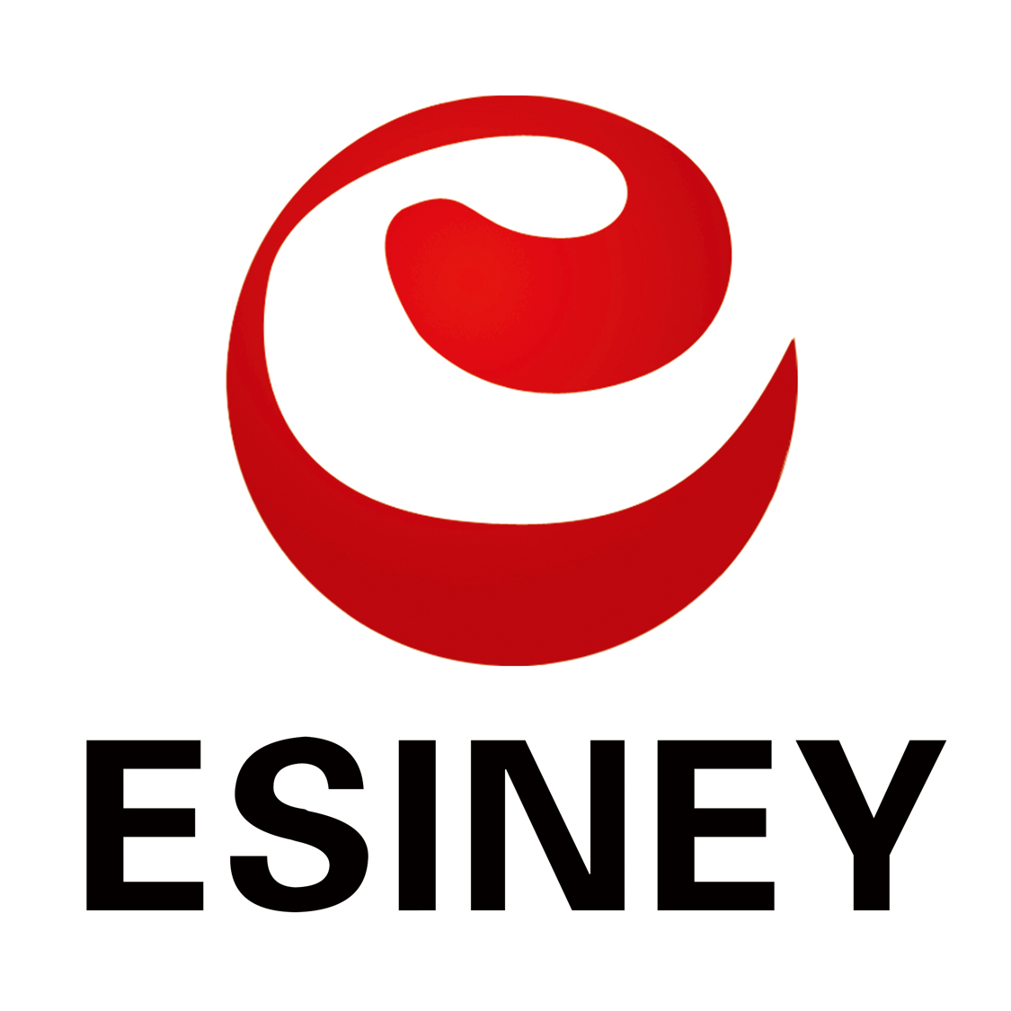 esineystorelogo.jpg