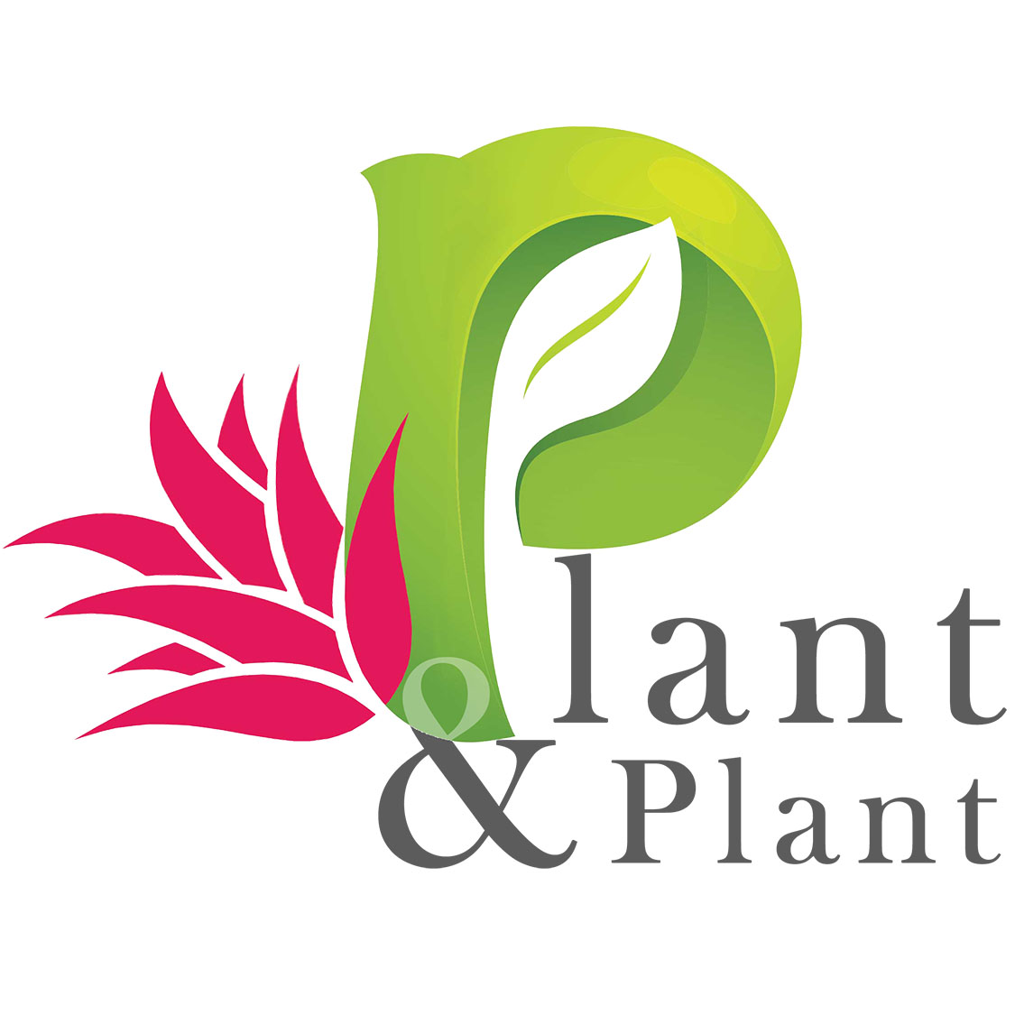 Plant & Plant.jpg